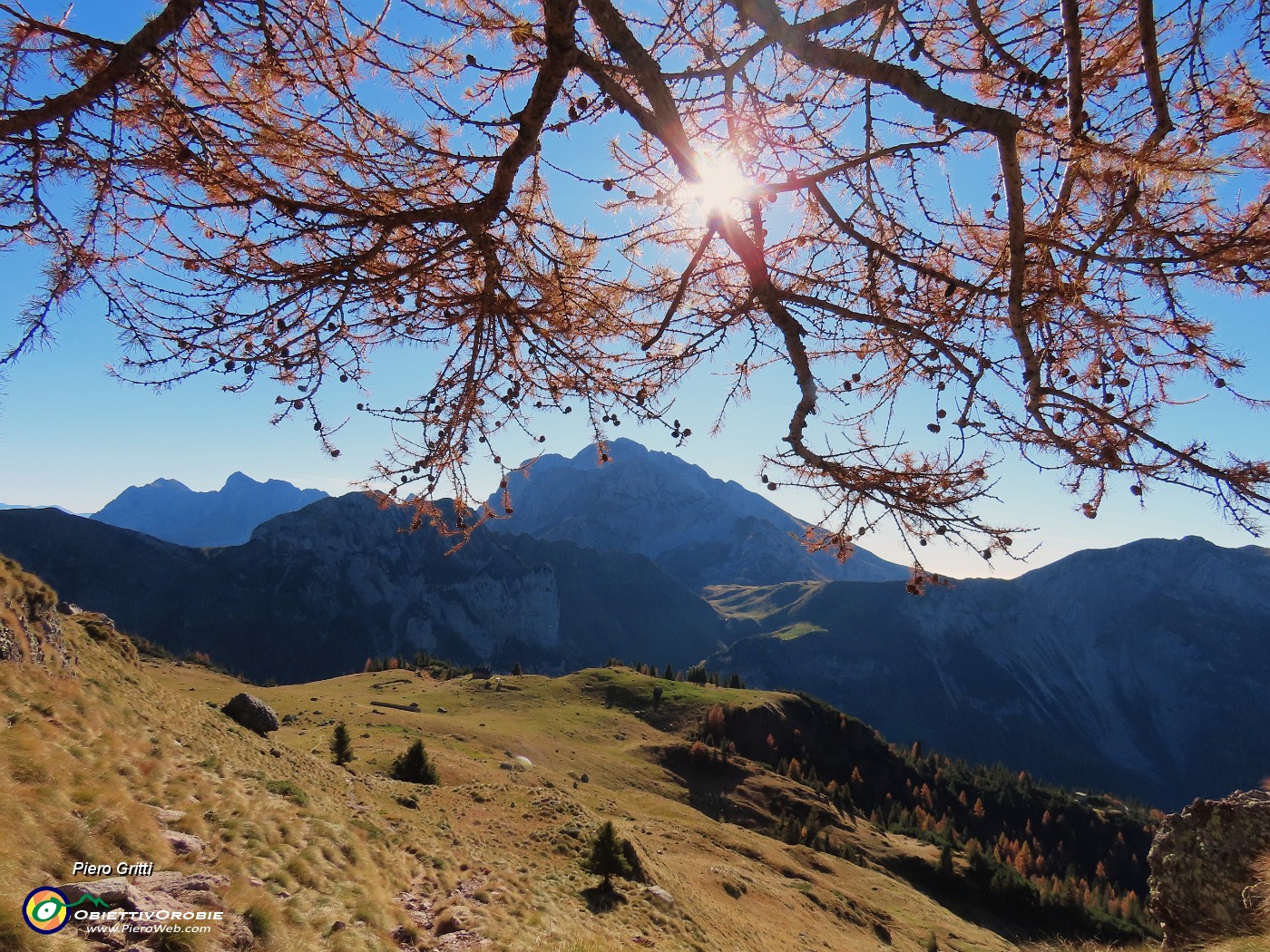 12 Dai rami pendenti del bellissimo larice bella vista sul Monte Campo e verso l'Arera.JPG